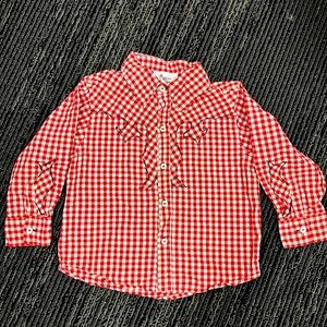 The cutest handmade vintage inspired western shirt.